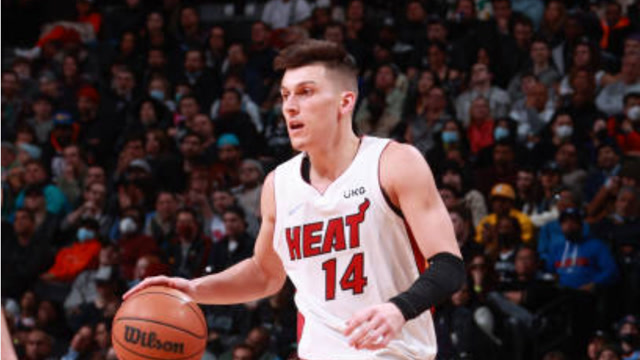 英国训犬公司：英超球员在家养一条护卫犬能降低安全风险（英国训犬机构称：英超球员在家饲养护卫犬可降低安保风险）